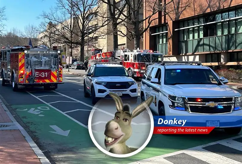 A humorous take on a serious incident as reported by Donkey from Shrek movies