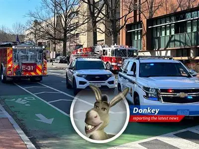 A humorous take on a serious incident as reported by Donkey from Shrek movies image