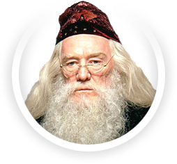 Professor Dumbledore