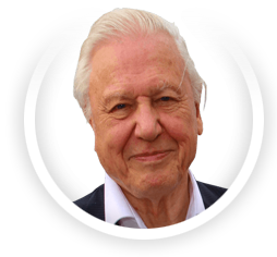 Sir David Attenborough image